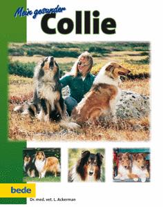121020_g gesunder collie