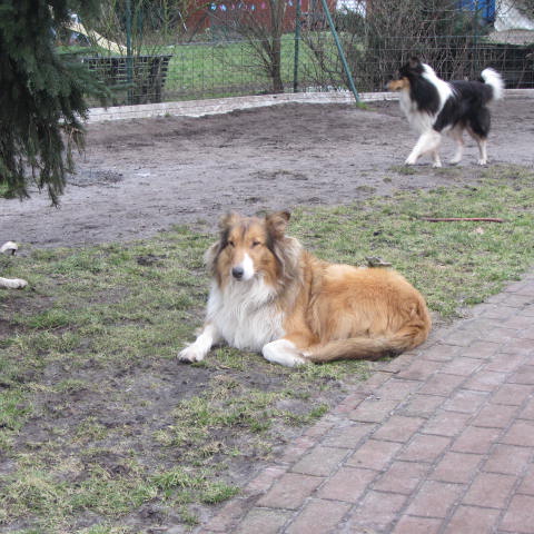 IMG_0956-unis