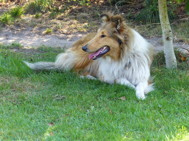 P1040189-ROXY-2016