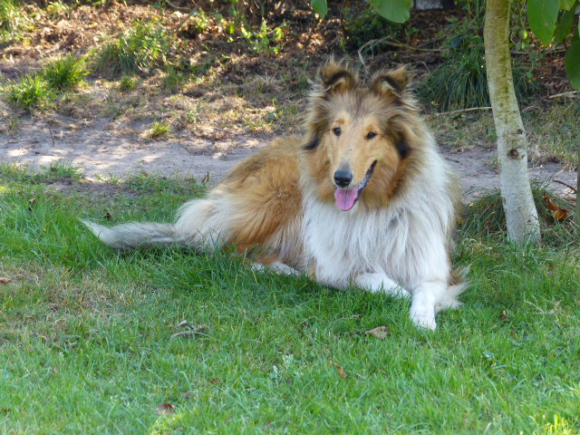 P1040190-ROXY-2016