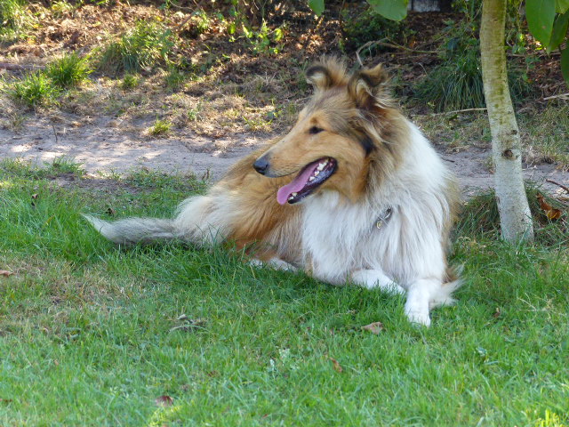 P1040191-ROXY-2016