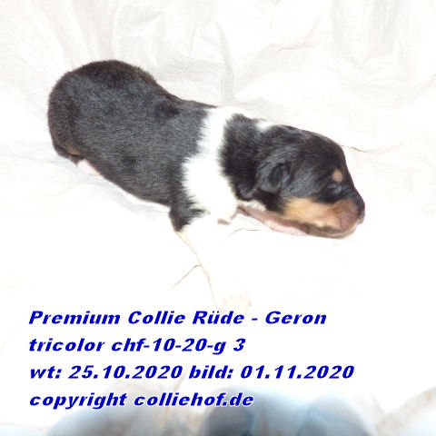 P1080228-g3