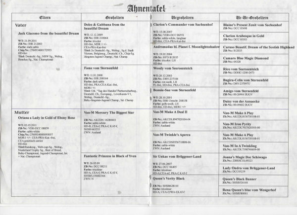Roxy-Ahnentafel-b