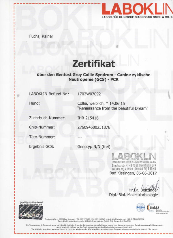 Roxy-Laboklin-GCS