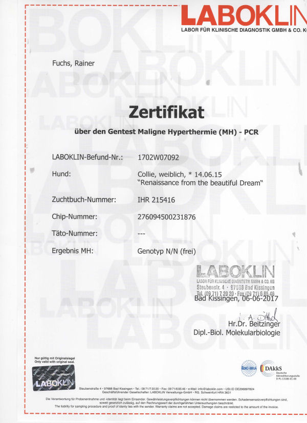 Roxy-Laboklin-MH