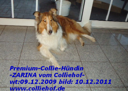 Zarina-10-12-11-n