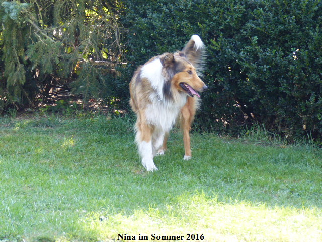 a_P1040109-nina