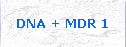 DNA + MDR 1