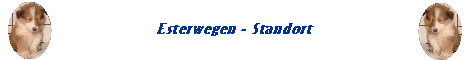 Esterwegen - Standort