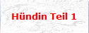 Hndin Teil 1