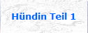 Hndin Teil 1