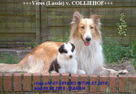 baran-9++06-08-2010
