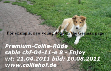 e8-2011-n-enjoy