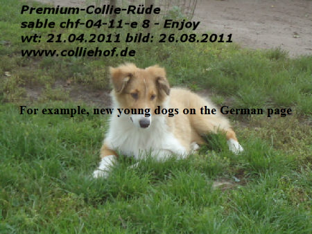 e8-2011-p-enjoy