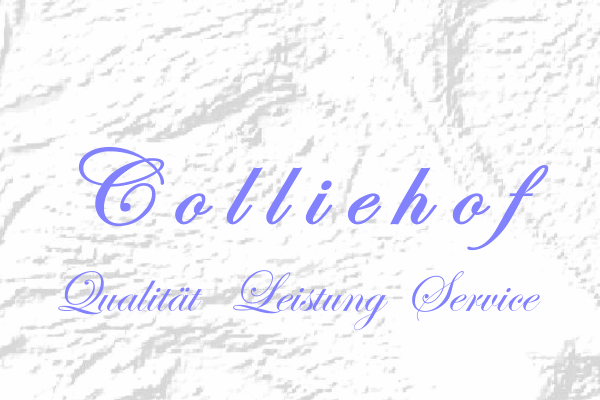 colliehof-qualitt-leistung-service-esterwegen-emsland